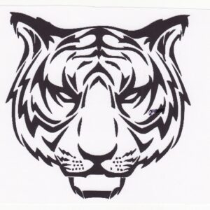 a tigers head contrasting image