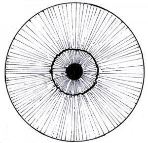 Iridology - fibre structure - Aziz Shamanism