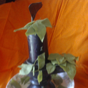 Karma Purification - Aziz Shamanism