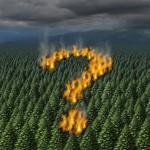 Deforestation producing climate change