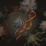 Virus