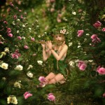 dream magic and the faeries