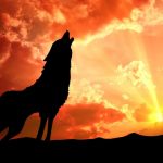 Restoring sovereignty