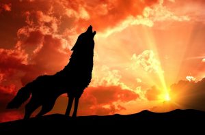 Restoring sovereignty