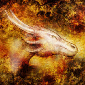 Dragon Healing and Ascension System