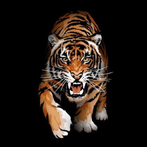 Ilmu Khodam Sengorro Macan