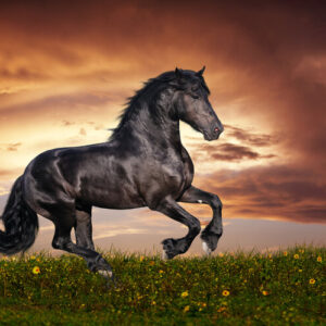 Ilmu Khodam Turangga Wulung