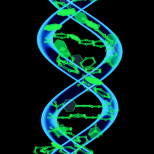 Ultimate Healing (Part 1) - Self Healing