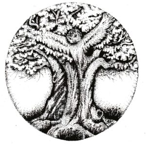 Working with Tree Spirits in Shamanic Healing