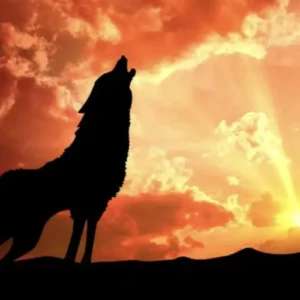 Shamanic Empowerment