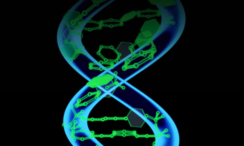Zh6m3QHRgGjqdM93SPVl_rsz_1dna_landscape_close_up